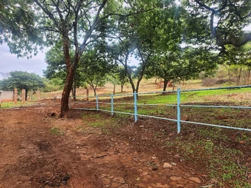 Farm & Agricultural Land