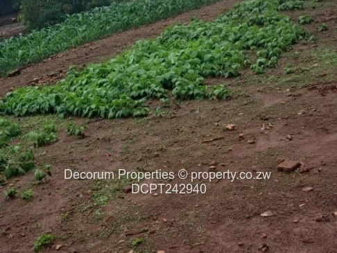 Prime 1011 m² Residential Stand for Sale in Tynwald South