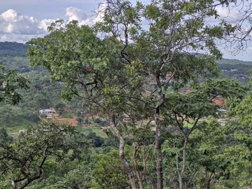 Residential Stand for sale