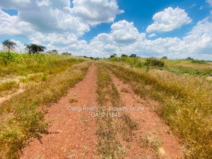 Residential Stands For Sale In Rock Ridge (near Lake Chivero)