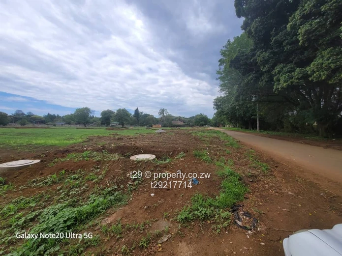 Marlborough Adylinn stands for sale