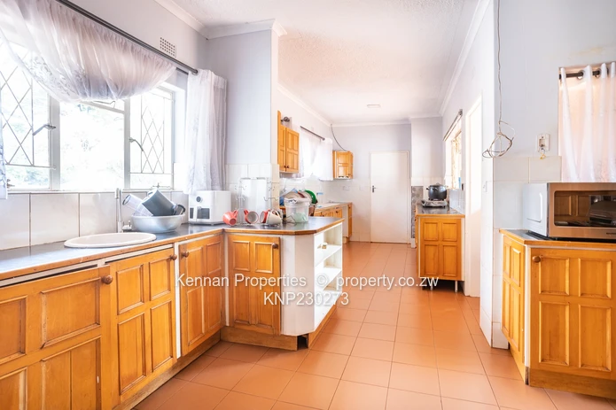 Potential On Arcturus Road - Nostro!