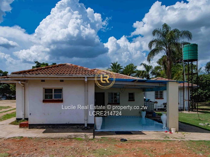 Msasa  - $450K