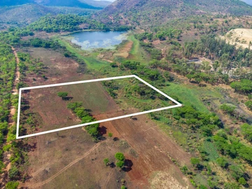 Farm & Agricultural Land