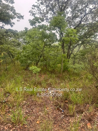 Umwinsidale Stand with Title Deeds for Sale 