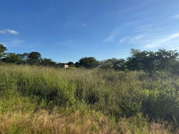 Commercial & Industrial Land