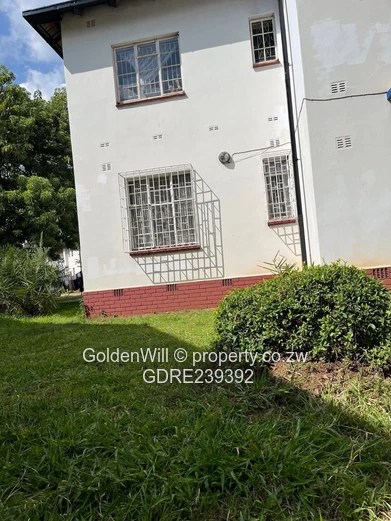 Avenues fully furnished flat to rent 