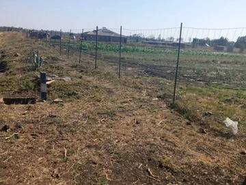 Farm & Agricultural Land