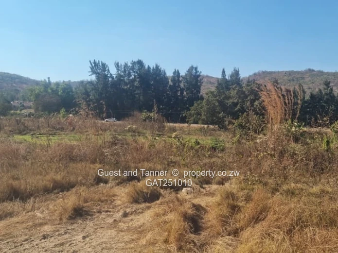 Prime Commercial Stand For Sale– Jerera, Ndanga