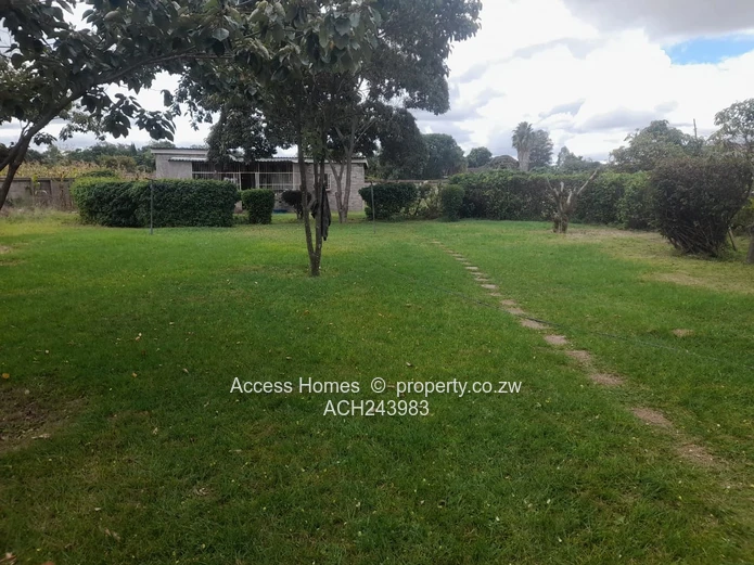 Hatfield Stand for Sale