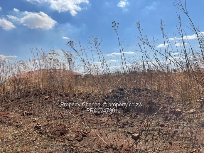 3000sqm Stand for Sale – Goodhope, Westgate Area