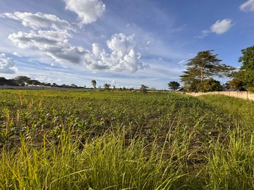 Commercial & Industrial Land