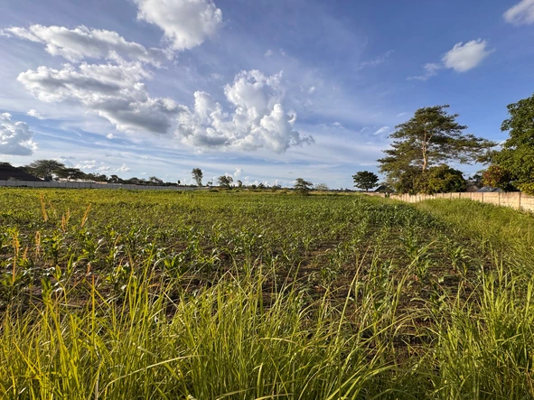 Commercial & Industrial Land