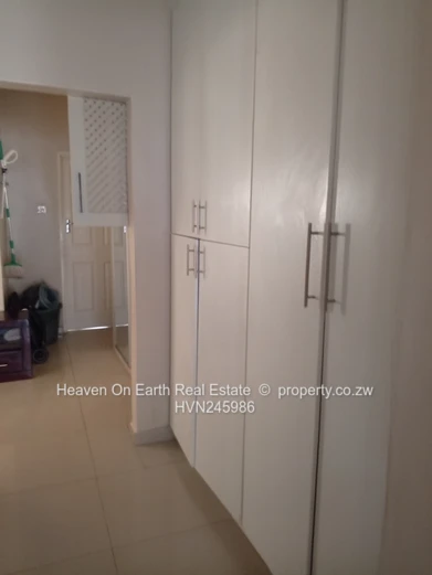 Elegant Home in Springvale with Modernist design 