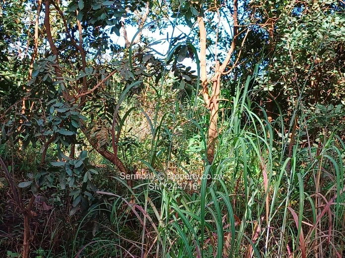 Agro Plot For Sale - Glen Forest