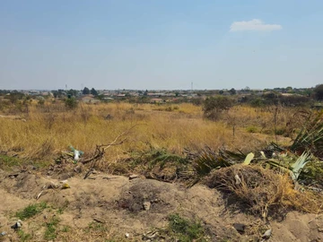 Stands & Residential Land