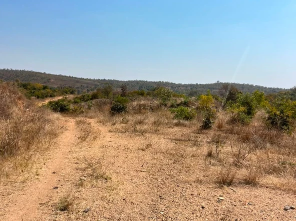Farm & Agricultural Land