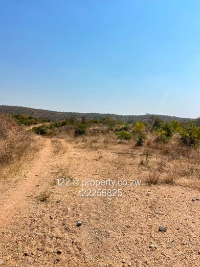 Mhangura River range plots for sale!!!