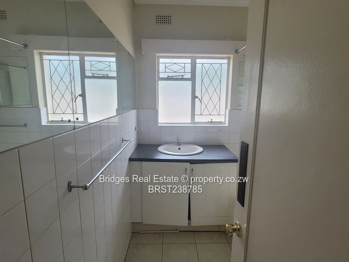 A Halley 's Comet equivalent! 