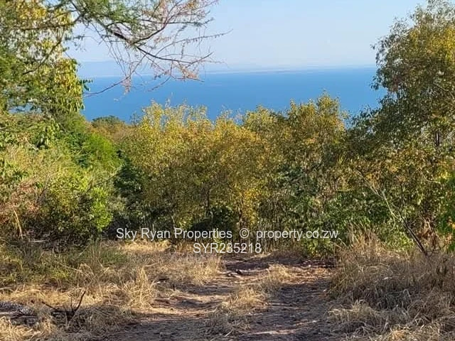 Kariba Stand For Sale