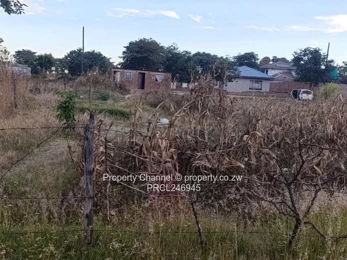 2000 m² Fenced Plot with Road Access in Whitecliff