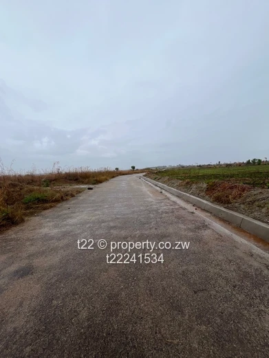 Luna Park Estate stands for sale 