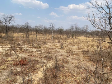 Farm & Agricultural Land