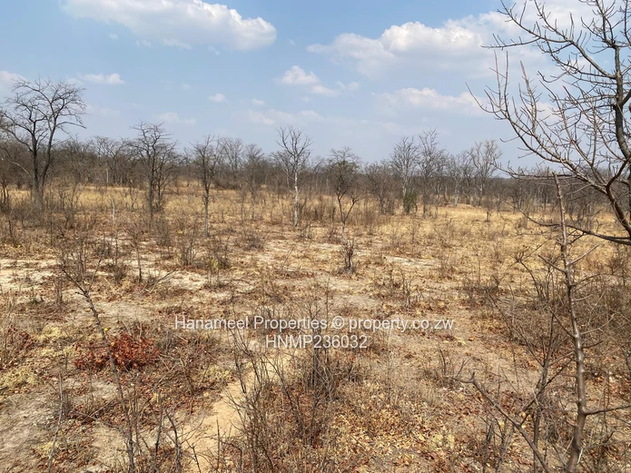 Ngezi Platinum Plots For Sale
