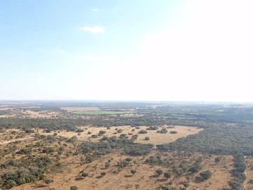 Farm & Agricultural Land