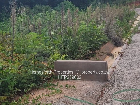 Great Opportunity!!!