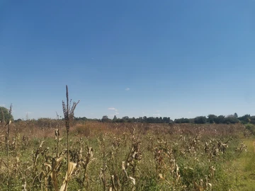 Commercial & Industrial Land