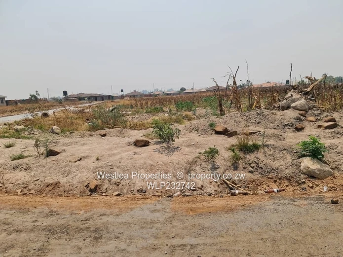 An opportunity not to miss