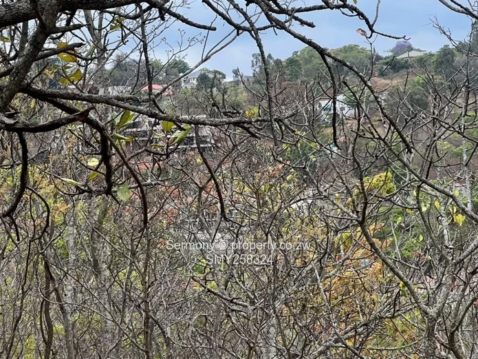 Exclusive Residential Stand In Brookeridge Estate