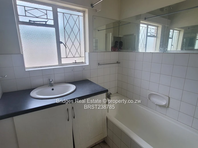 A Halley 's Comet equivalent! 