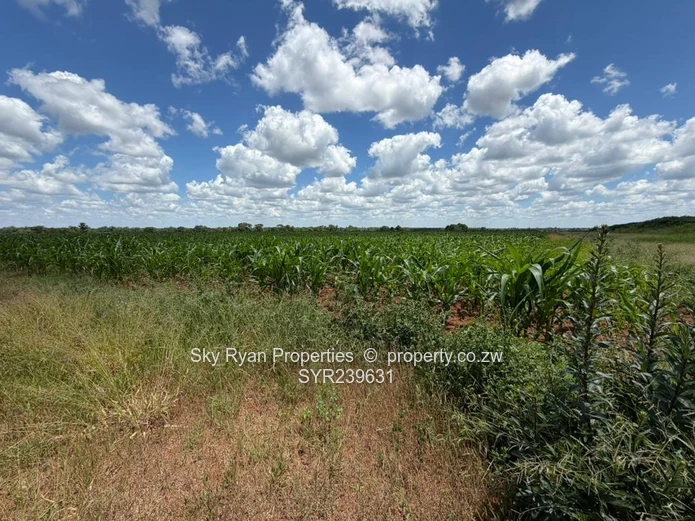 Beatrice Service Station Land For Sale 