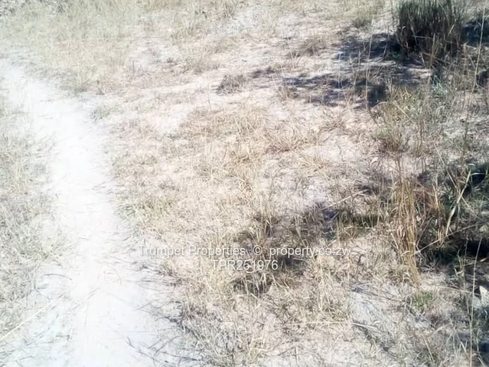 10ha Kwekwe  Farm — Gravel Tracks & Arable Land