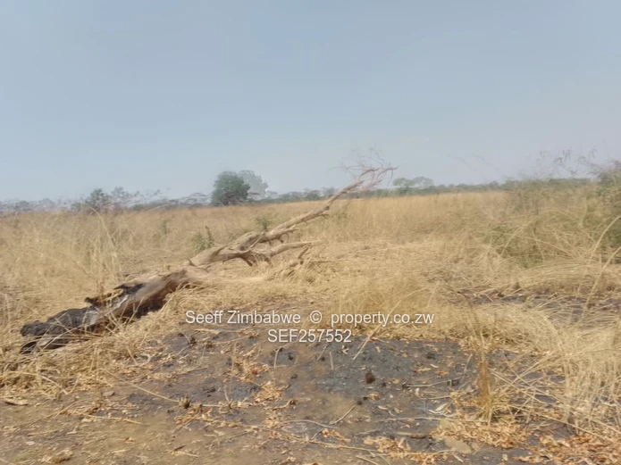 109,174ha Whitecliff Farm — Subdivision Potential 