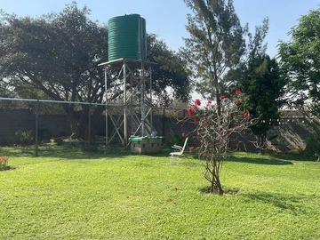 Farm & Agricultural Land