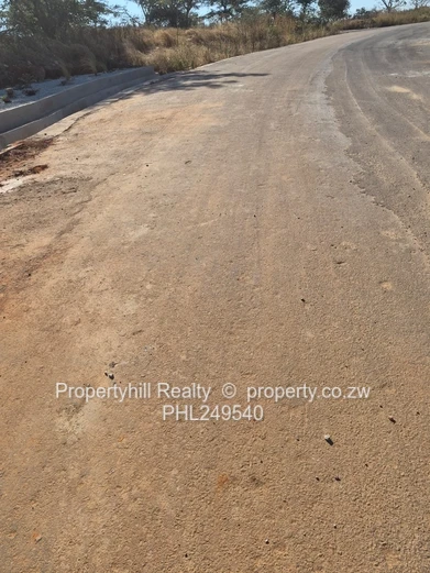 Pomona : Buckland Terraces (Sole Mandate)