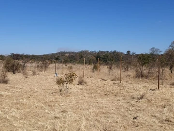 Land