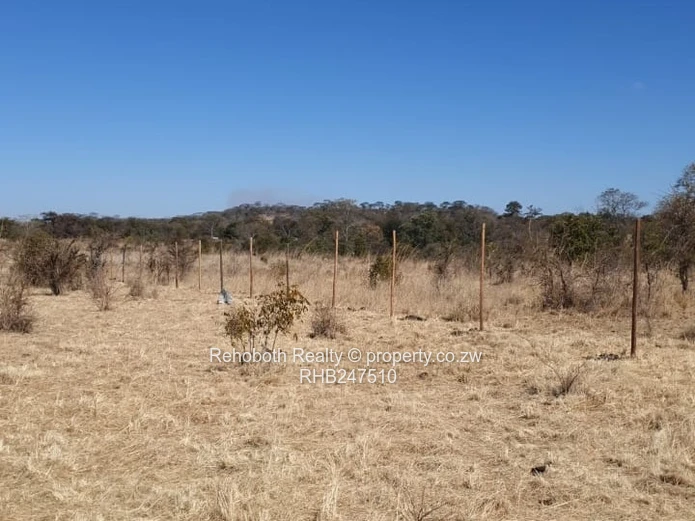 2.5ha Fenced Dry Grassland in Selous - Ideal Homestead