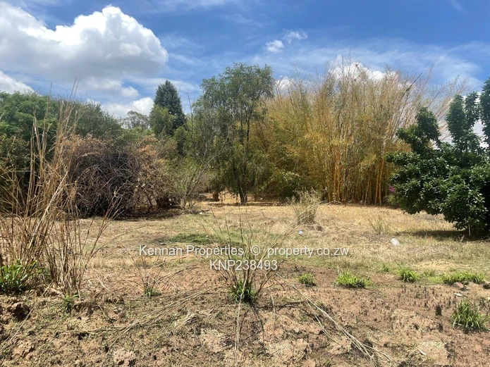 Hatfield 7600 s/mtrs property for sale (Sole Mandate)