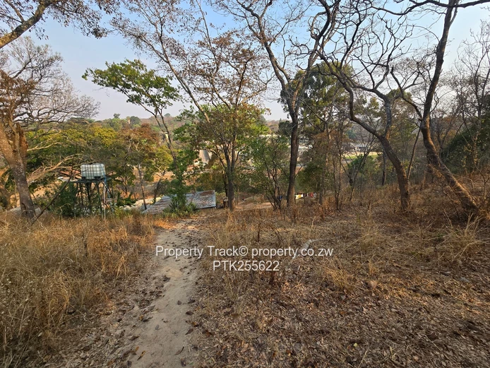 Limitless Possibilities, Enterprise Road Frontage 