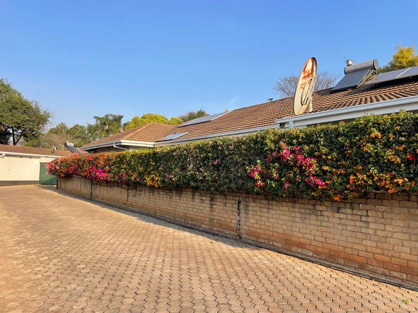 2 Bedroom Flat & Apartment