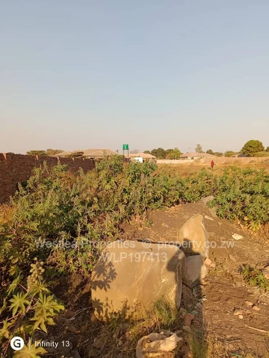 An opportunity not to miss