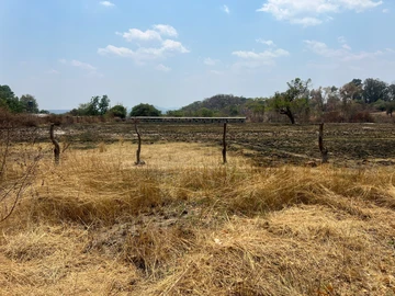 Farm & Agricultural Land
