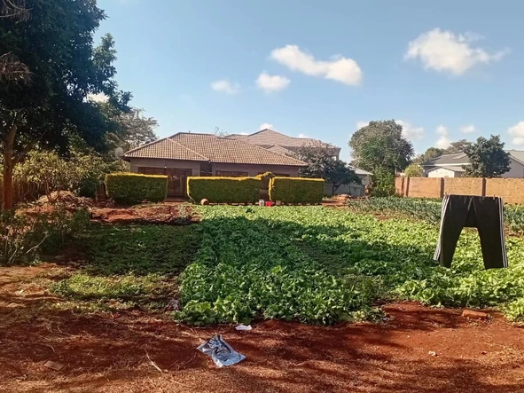 Stands & Residential Land