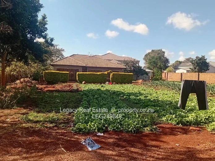 Shawasha Hills Investment Opportunity | Huge Stand | Ready To Expand WITH a Cottage