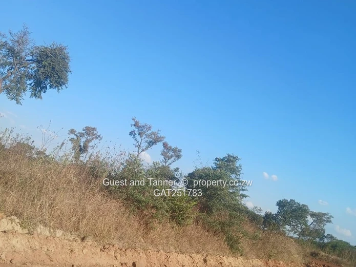 Gweru Residential Stands for Sale 
