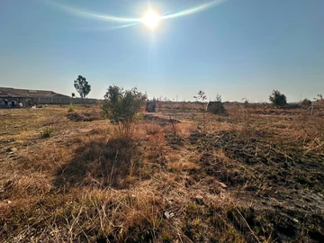 Stands & Residential Land